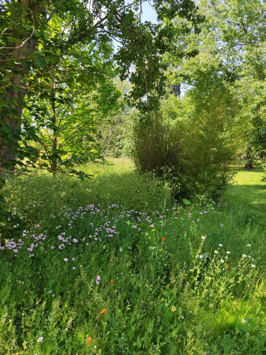 Đi qua những ngày giông&nbsp;bão