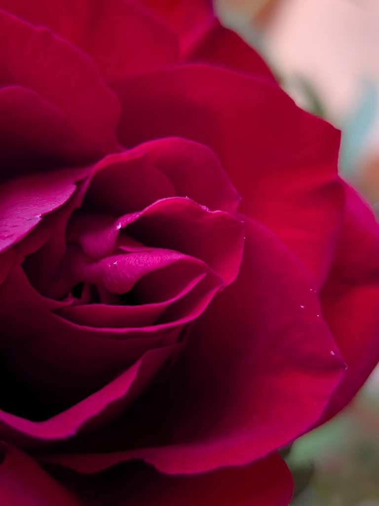 Tuổi đời tươi&nbsp;đẹp