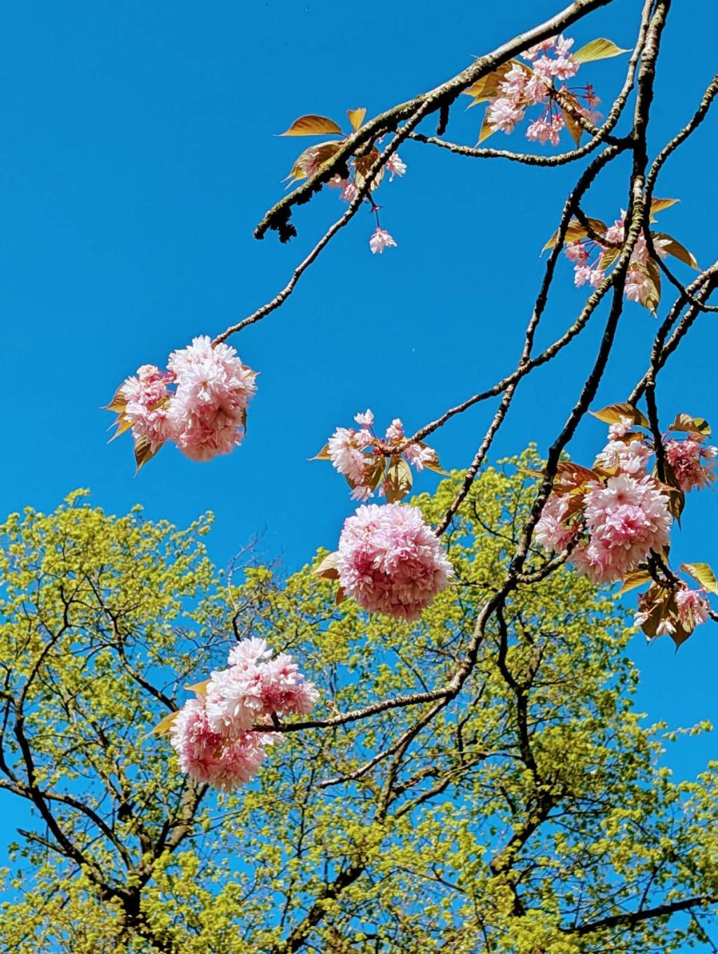 Định nghĩa thành&nbsp;công