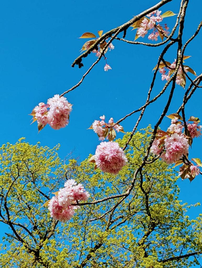 Định nghĩa thành&nbsp;công
